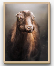 Load image into Gallery viewer, Santa - Sowa Goat Sanctuary

